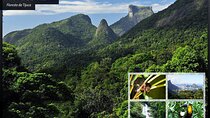 Tijuca's National Park - Eco Hiking Tour