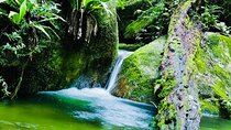 Affordable Return Mossman Gorge from Port Douglas Transfers
