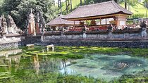 Highlight Ubud Temple, Rice Terrace including Waterfall