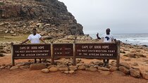  Cape of Good Hope & Penguins Boulder's Beach in Private Car 
