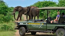 Game Drives in the Zambezi National Park