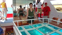 Private Transportation Tour Glass Bottom Boat In Sharm El Sheikh