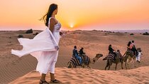 Evening Desert Safari & BBQ With Live Shows,Camel Ride,Falcon pic