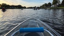 Clear Kayak Tour of Tarpon Springs | Manatee Season