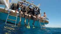 Full-Day Scuba Diving Tour in Hurghada with Lunch & Pick-Up