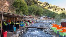 Scenic Ourika Valley Escape: Full-Day Adventure from Marrakech