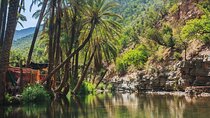 Agadir or Taghazout: Paradise Valley Atlas Mountain Swimming Trip