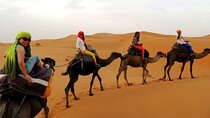 Shared group Fez to Fez Sahara tour 2Days/1Night