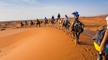 Shared Fez Sahara Group Tour for 3 days and 2 nights