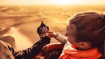  Dubai by Balloon Views of Beautiful Desert & Falcon Show