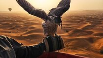 Amazing Dubai Beautiful Desert by Balloon with Falcon Show
