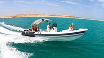 4-Hour Swim with Dolphins and Subwing Game in a Private Speedboat in Hurghada