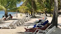 Full-Day Saona Island Escape – Beaches, Adventure, Paradise Vibes