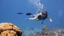 2 Stops Scuba Diving for beginners Full Day Boat Trip,Transfer, Lunch – Hurghada