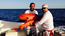 Fishing Over Night Private Boat Up to 8 Pax With Fishing equipment - Hurghada