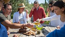 Small-Group Half-Day Languedoc Wine and Olive Tour from Montpellier