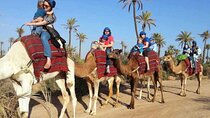 Visite Agadir Medina with camel or Hors riding 