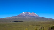 Full Day Mt Kilimanjaro to Shira Plateau Hiking Tour