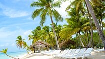 Full day- Saona Island tour From Punta cana all inclusive