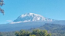 5 Days Marangu Route Kilimanjaro Trekking