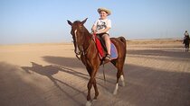 One Hour Horse or Camel Riding with Transfer- Sharm El-Sheikh