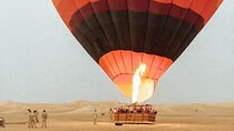 Enjoy Beautiful Views of Dubai Desert with Falcon Show and Camel Ride