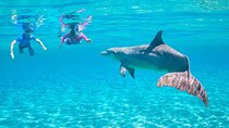 Dolphin House Sea Trip - HURGHADA VIP