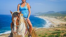 Beach Horseback Riding in Los Cabos