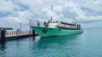 Krabi to Koh Phi Phi By Ferry Include Pickup Transfer