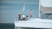 Luxury Sailing Whale Watch and The Arch (Dec 15 - Apr 15)