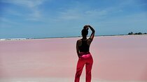 Las Coloradas Tour! Boat Ride, Lunch & Rio Lagartos from Cancun