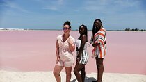 Rio Lagartos Biosphere + Coloradas Gorgeous Pink Lake! Transportation from Tulum
