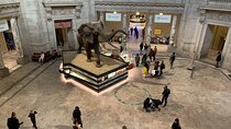 Smithsonian Museum of Natural History Guided Tour 