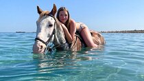 Horse Riding 3 Hours Beach, Desert, & Swimming By Horse in red sea - Hurghada