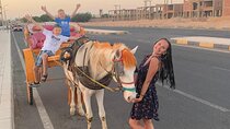 Horse Drawn Carriage 3 Hours at the Desert, transfer - Hurghada 
