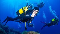 4-Day Open Water Diving Course in Tenerife