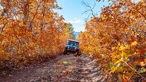 East Zion Brushy Cove Jeep Tour