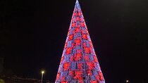 Private Funchal Christmas Light Tour