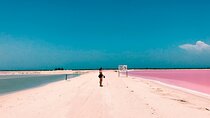 Pink Lake Las Coloradas + Rio Lagartos Reserve! Transportation from Cancun