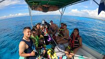 Cozumel Snorkel Nature Experience! Transportation from Cancun & Playa Del Carmen