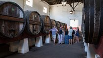 Historic Winery Tour and Tasting in Bombarral