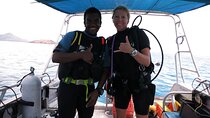  2 Tank (1 Day) Guided Diving for Certified Divers - Denarau Marina