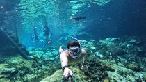 Tulum Ruins & Casa Tortuga Eco Adventure! 4 Cenotes from Tulum City
