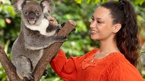 Kuranda Wildlife Experience Deluxe Multi Attraction Pass