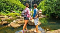 Waterfalls Tour in Mauritius with Private SUV Car and Lunch