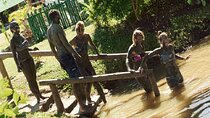 Half Day Nadi Tour-Mudpools, Gardens,Temple,Handicraft markets/LUNCH-Coral Coast