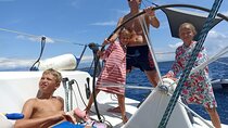 Private - Half day sailing on a modern 36ft from Zadar (up to 8 travellers)