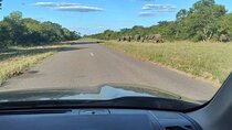 Airport, Hotel and local transfers in Victoria Falls
