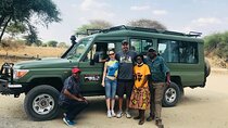 5 Days Tanzania Private Group Safari