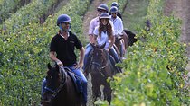 Horseback Riding with Wine Tour from Florence